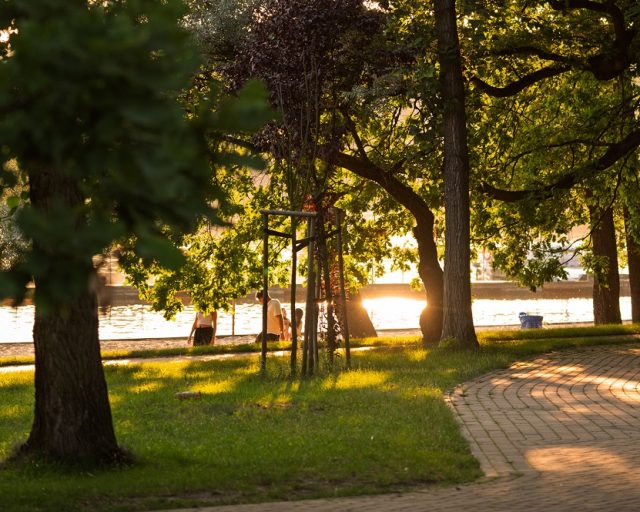 Rodzinny Piknik w Tychach – emocje, zabawa i edukacja na Paprocanach