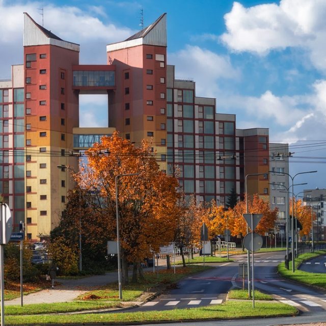 Tychy na weekend: koncerty, zdrowie, sport i kulturalne atrakcje – pełen program