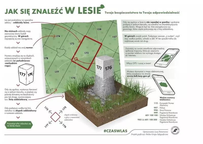 Bezpieczne grzybobranie – zasady, o których warto pamiętać