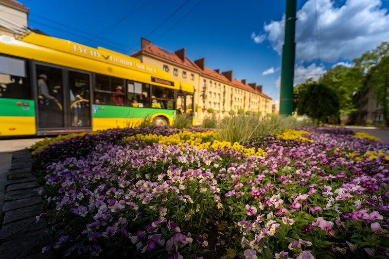 Dodatkowe kursy na Święto Miasta Tychy – sprawdź rozkład jazdy!