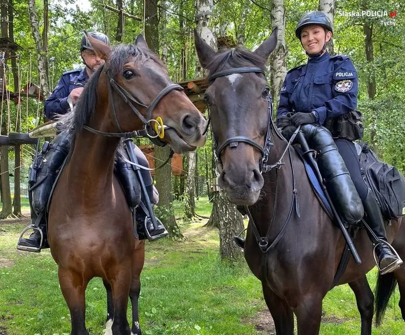 Policjanci na koniach wspierają tyskich wodniaków