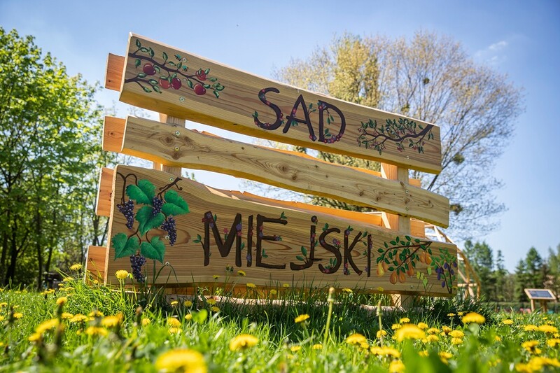 Sad miejski dla wszystkich – tyszan czeka zielone wydarzenie plenerowe